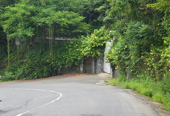 Lô biệt thự L09.