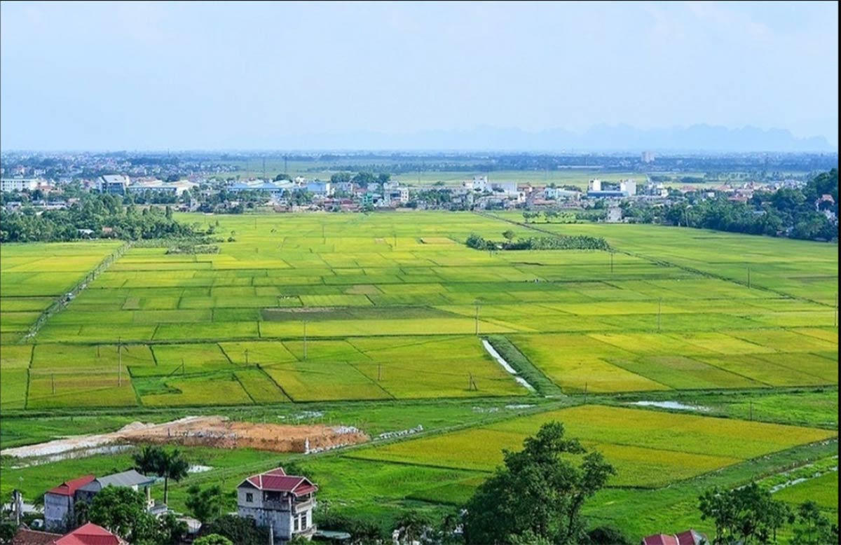 Sẽ rà soát thuế chuyển đổi mục đích sử dụng đất