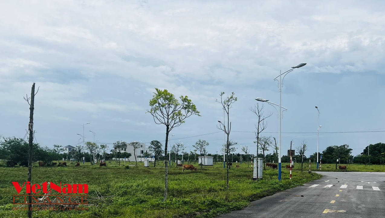 Cảnh hoang lạnh tại khu đô thị 400ha gần biên giới Việt - Trung