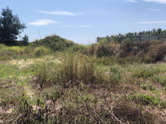 Đối với khu phức hợp Đà Nẵng Center, Ban cán sự Đảng UBND thành phố đã báo cáo xin ý kiến Thường trực Thành ủy và Thường trực HĐND thành phố về chủ trương tạm dừng quy hoạch khu đất này làm bãi đỗ xe kết hợp công viên công cộng. &nbsp;