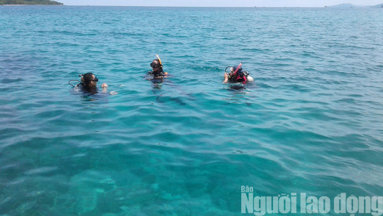 Ra Phú Quốc, ngất ngây lặn biển đâm cá, ngắm san hô ở Hòn Gầm Ghì - Ảnh 13.