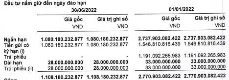 DIC Corp trình phương án điều chỉnh dự án Long Tân, đại hạ giá phát hành cổ phiếu xuống 50%