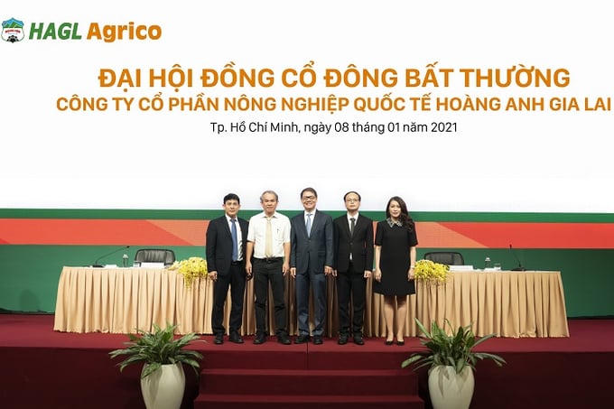 Dàn lãnh đạo chủ chốt của HAGL Agrico đang tìm giải pháp để thoát cảnh kinh doanh thua lỗ.&nbsp;