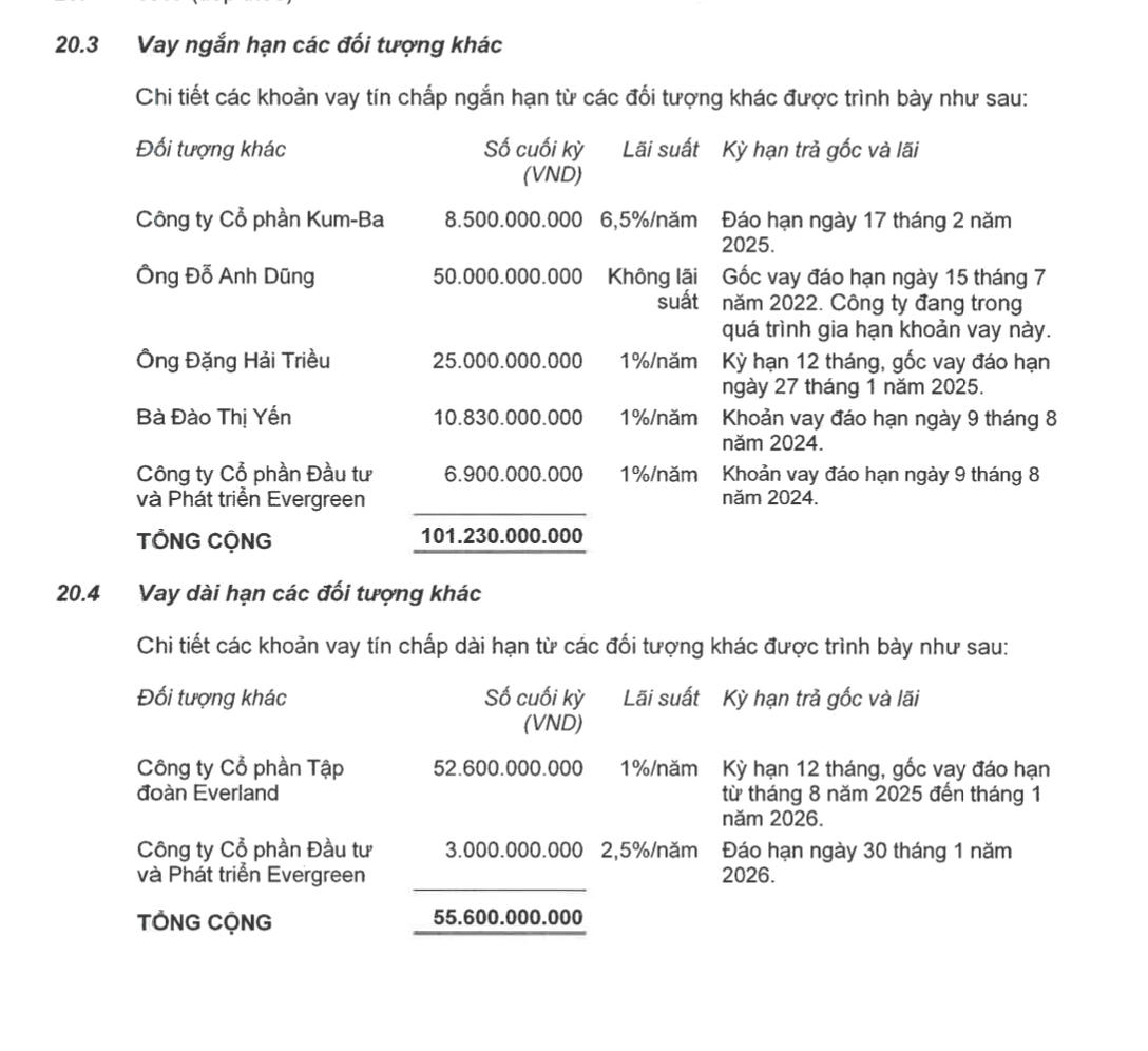 Chi tiết tài khoản vay đối tượng khác tại BCTC bán niên 2024