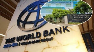 Sao Bắc Đẩu: Lãi suy giảm, nợ phải trả gấp 2,5 lần vốn chủ sở hữu