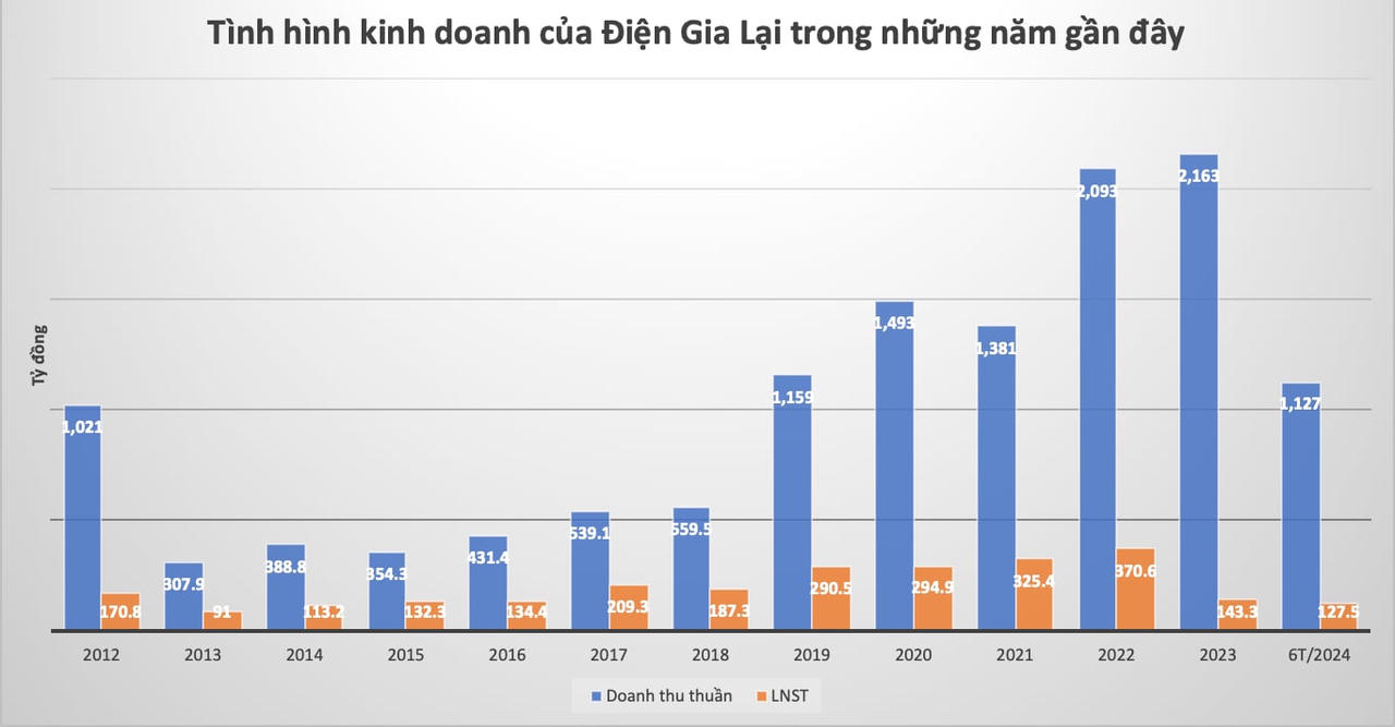 Tình hình kinh doanh của Điện Gia Lai