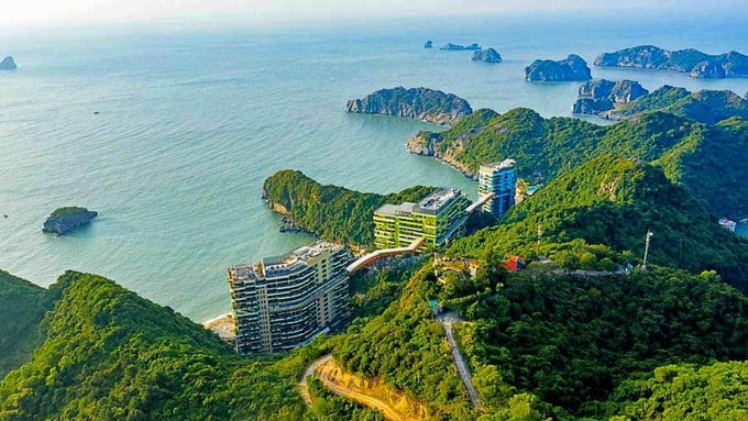 (Ảnh minh họa) &nbsp;