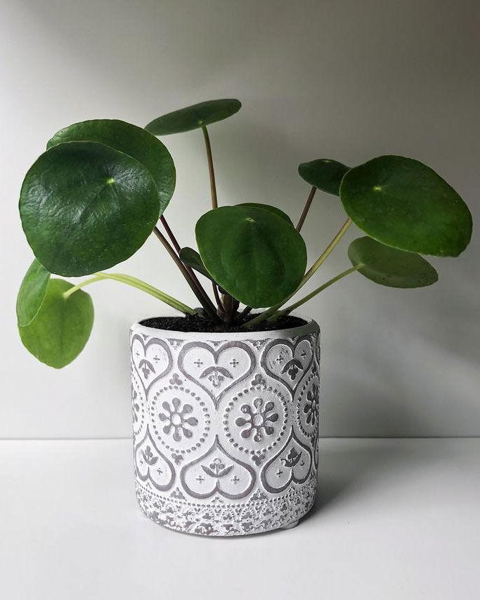 7 mẹo phong thuỷ phát huy tối đa năng suất làm việc tại nhà