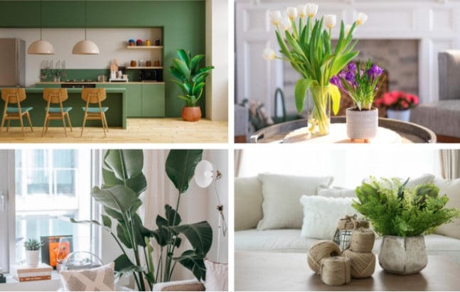 Hóa giải hạn Thái Tuế năm 2024, ba cách trang trí nhà cửa dựa theo tuổi vô cùng hiệu nghiệm