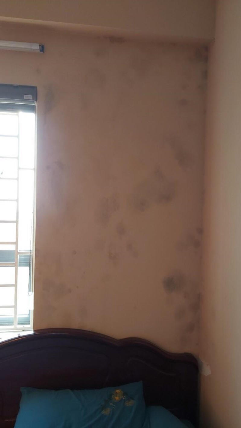 Tecco Green View 3: Dân 'kêu trời' vì căn hộ xuống cấp nhếch nhác và thấm dột