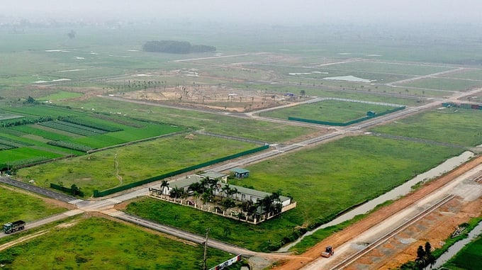 Tăng hạn mức nhận chuyển nhượng đất nông nghiệp. Ảnh minh họa &nbsp;
