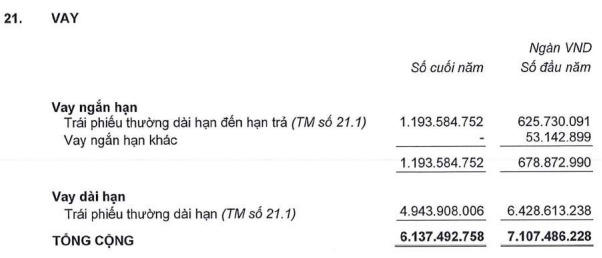Nguồn: Báo cáo tài chính năm 2021 của HAGL
