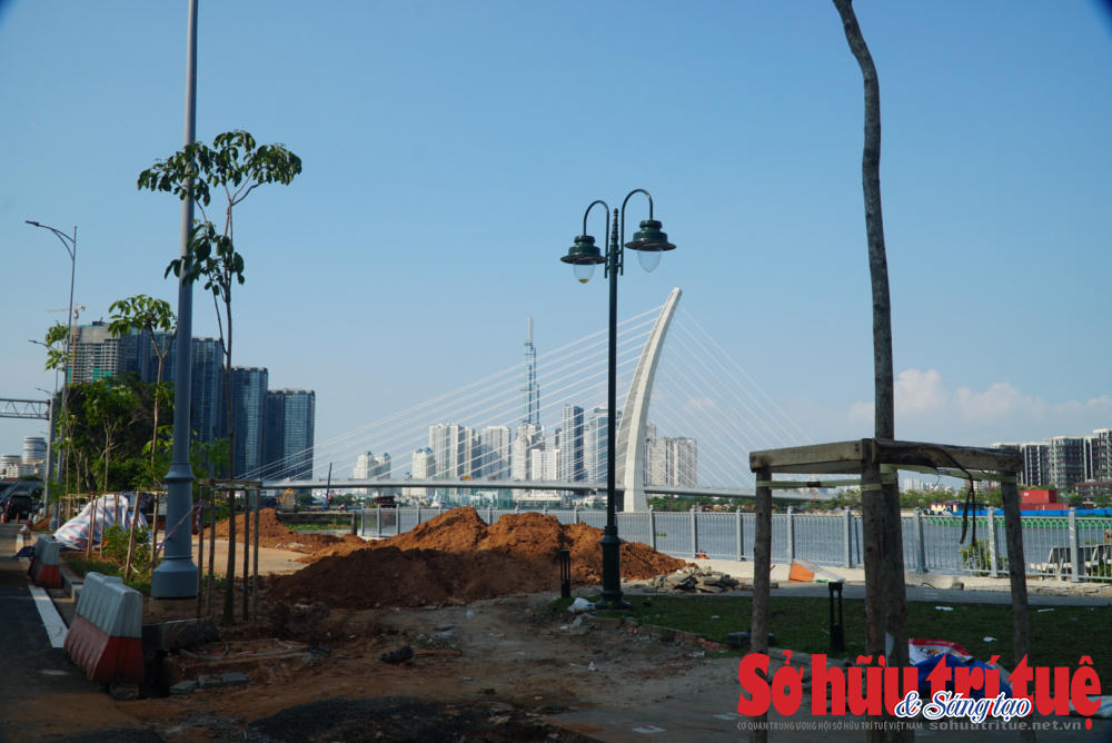 Cầu có thiết kế dây văng với trụ tháp chính mang kiến trúc cầu rồng cao 113m. &nbsp;