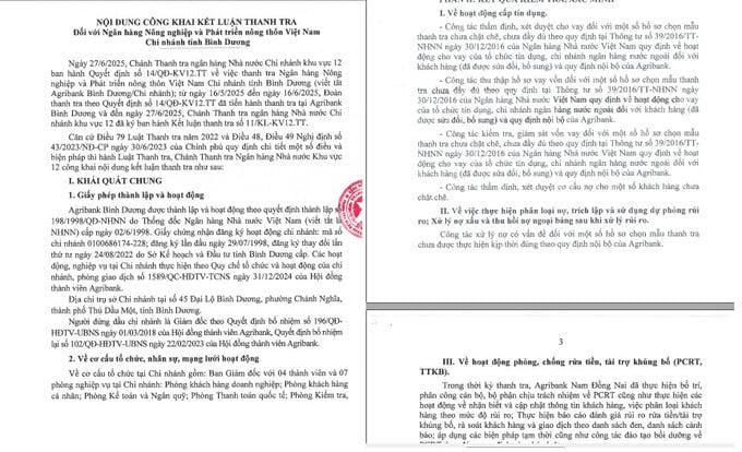 Tuy nhiên, bên cạnh kết quả đạt được, trong quá trình hoạt động/thực hiện nghiệp vụ, Agribank Bình Dương còn một số hạn chế, thiếu sót trong thời kỳ thanh tra.