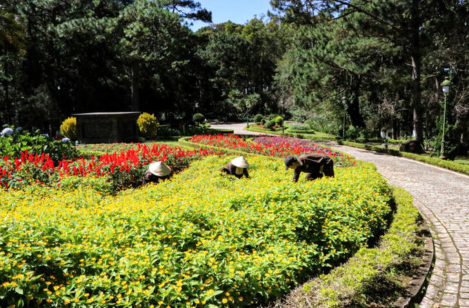 Cả khuôn viên của Khu du lịch này chỉ có 1 bảo vệ trông coi và 3 công nhân đang làm vườn.&nbsp;