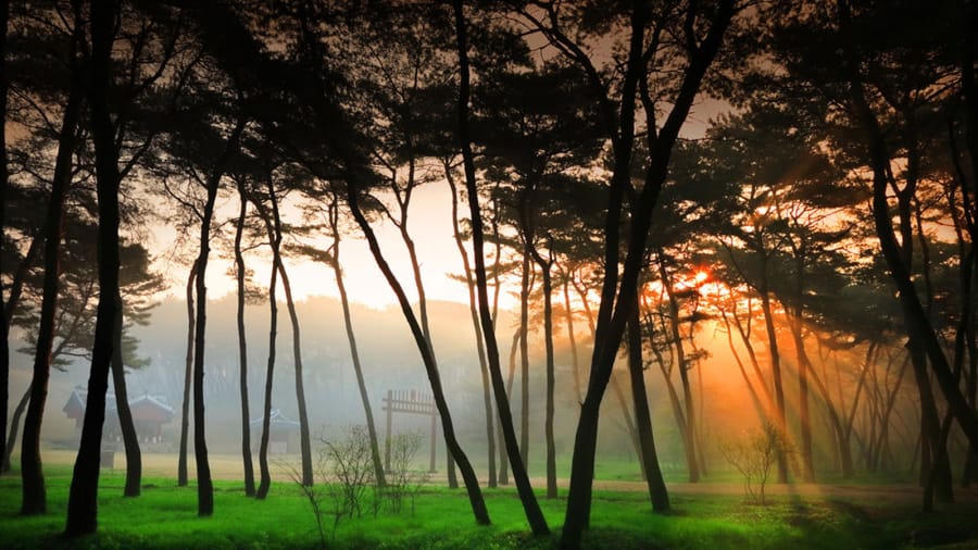 đảo Jeju thơ mộng -tinnhanhnhadat.vn