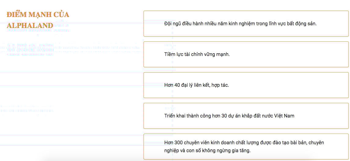 Công ty tự giới thiệu là doanh nghiệp có tiềm lực tài chính vững mạnh.