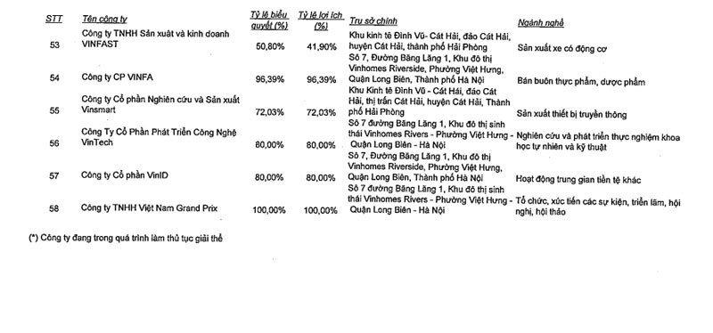 Lộ thông tin, tỷ phú Phạm Nhật Vượng ông chủ giải đua F1 tại Việt Nam