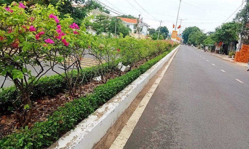 Một dự án cây xanh trên địa bàn tỉnh Phú Yên (Ảnh: CAND).