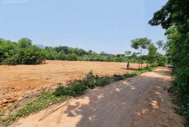 Hậu 'sốt đất': Xuất hiện tình trạng bỏ cọc,cắt lỗ, nhiều 'điểm nóng' giá bán bất động sản lao dốc