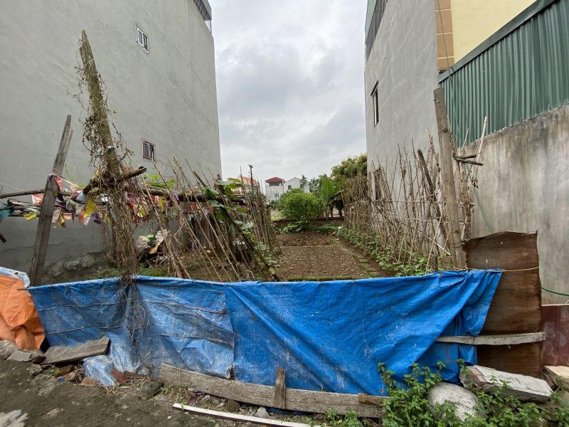 Giá đất tăng gấp đôi sau tin quy hoạch sông Hồng: “Không mua nhanh, mai chưa chắc còn“