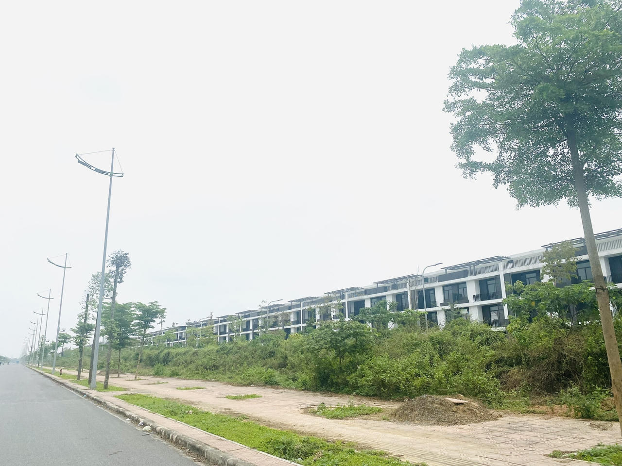 Hàng nghìn biệt thự triệu USD bỏ hoang trên đất ven đô đấu giá 133 triệu/m2