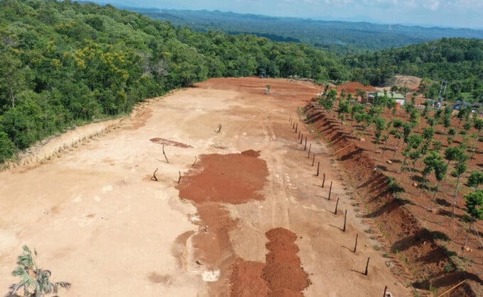 Khu đất mà Giám đốc chi nhánh một ngân hàng hủy hoại đất nông nghiệp, đất rừng