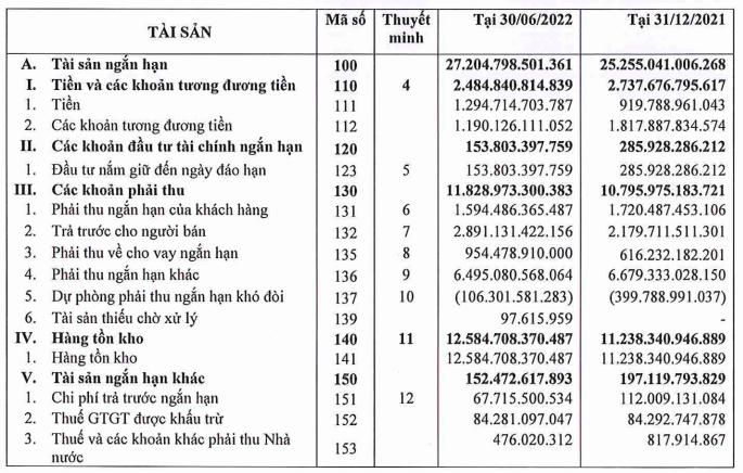 Nguồn: BCTC quý II Đất Xanh Group