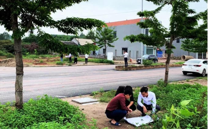 Đầu tư đất tỉnh sôi động, nhà đầu tư cẩn trọng trước rủi ro