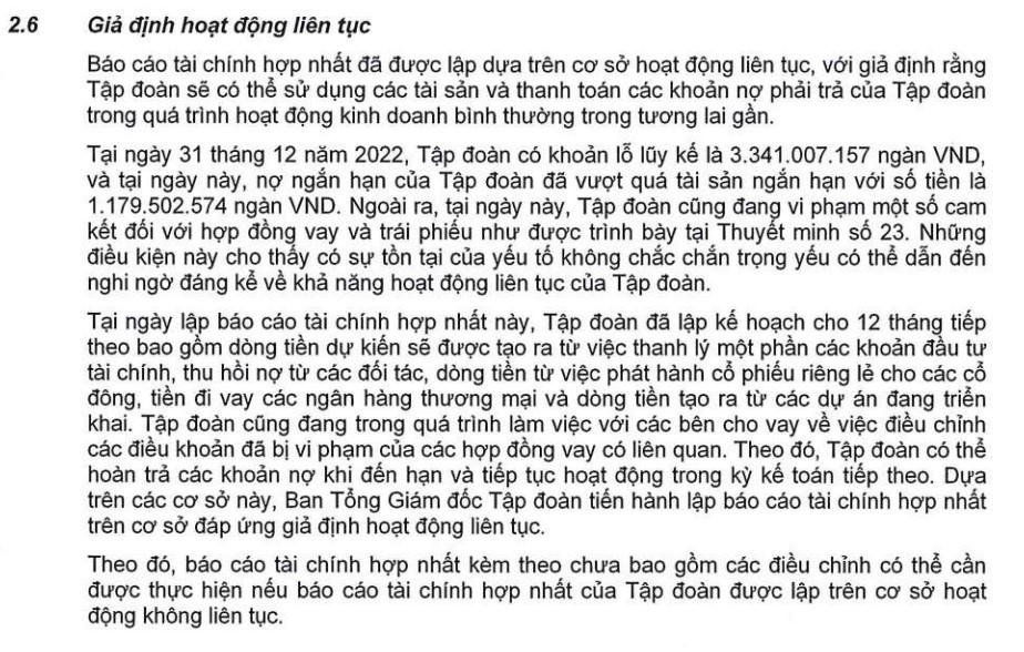 Nguồn: BCTC hợp nhất kiểm toán năm 2022 của HAGL. &nbsp;