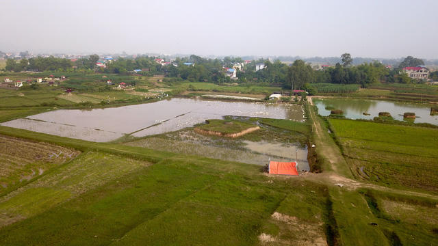 Toàn cảnh khu đất 100 ha dự kiến làm trường đua ngựa tại Hà Nội