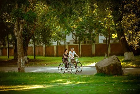 Được sống trong môi trường lý tưởng, có tính động đồng, người cao tuổi sẽ khỏe mẹnh, vui vẻ hơn