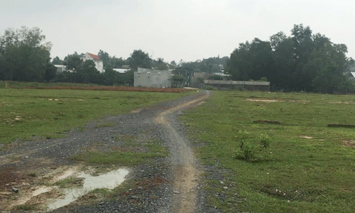 Đất nông nghiệp lô lớn tại xã Phú Đông được chào bán trên chợ trực tuyến đầu tháng 9/2019. Ảnh: Nhadat24h.net