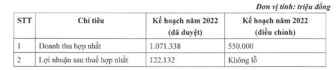 Louis Capital điều chỉnh giảm kế hoạch năm 2022 (Nguồn: TGG)
