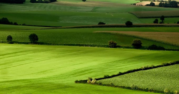 Từ 1/8, mức đền bù đất nông nghiệp sẽ tăng theo quy định mới. Ảnh: Internet&nbsp;