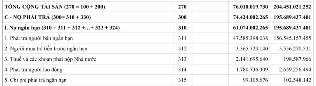 Bảng cân đối kế toán 2023 của Hyundai Thành Công Đông Đô