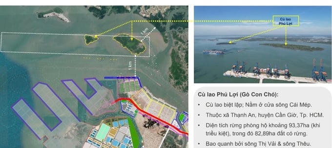 Dù việc xây dựng 'siêu' cảng Cần Giờ được đánh giá là "cơ hội lịch sử" nhưng lãnh đạo TP. HCM và các chuyên gia vẫn chú trọng yêu cầu đánh giá tác động đến môi trường của dự án này. Ảnh: Internet &nbsp;