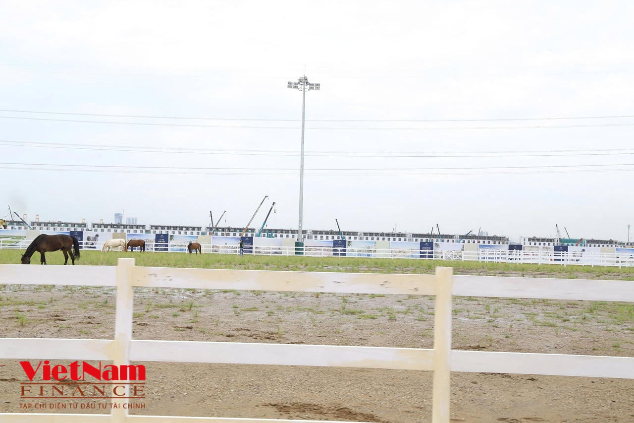 Tham quan đại dự án 2,4 tỷ USD trên đảo Vũ Yên của Vingroup