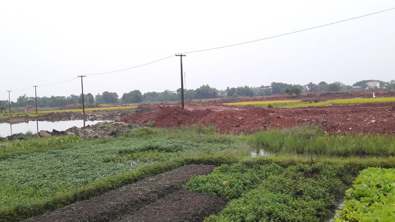 Thời điểm PV ghi nhận, dự án thi công ngổn ngang xung quanh là những cánh đồng lúa nhưng nhân viên sàn Midland vẫn rao bán, sẵn sàng nhận đặt cọc giữ chỗ. (Ảnh: Trần Tiến)