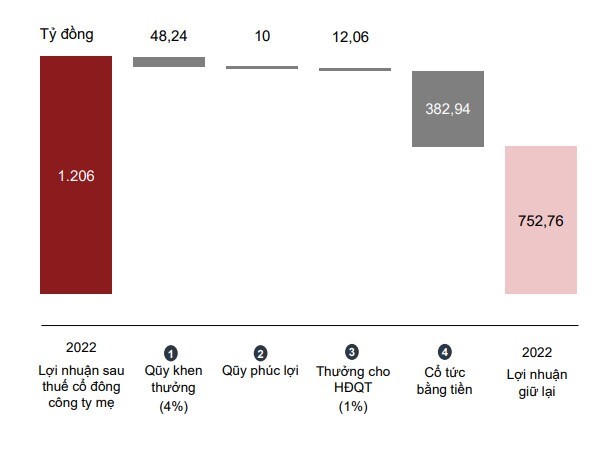 Kế hoạch phân phối lợi nhuận 2022. Nguồn: NLG &nbsp;
