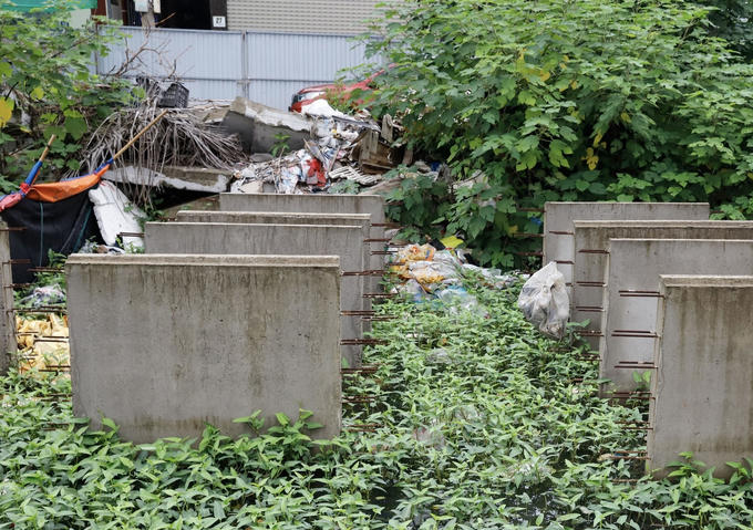 Những vùng nước ngập úng ven đường cũng được người dân tận dụng trồng rau muống.