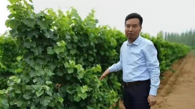 Đại gia bất động sản Trương Trì