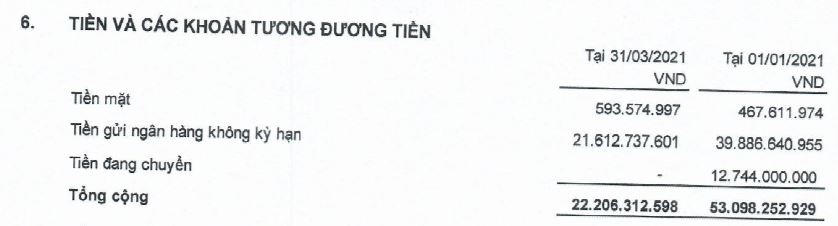 Lượng tiền mặt tại DRH chỉ vỏn vẹn hơn 22 tỷ đồng. (Nguồn: BCTC quý 1/2021) &nbsp;