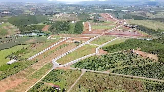 Ảnh minh họa. &nbsp;