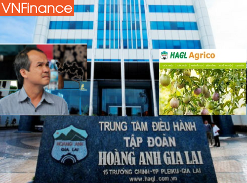 HAGL sẽ bán 8,5 triệu cổ phiếu HNG để cơ cấu khoản vay