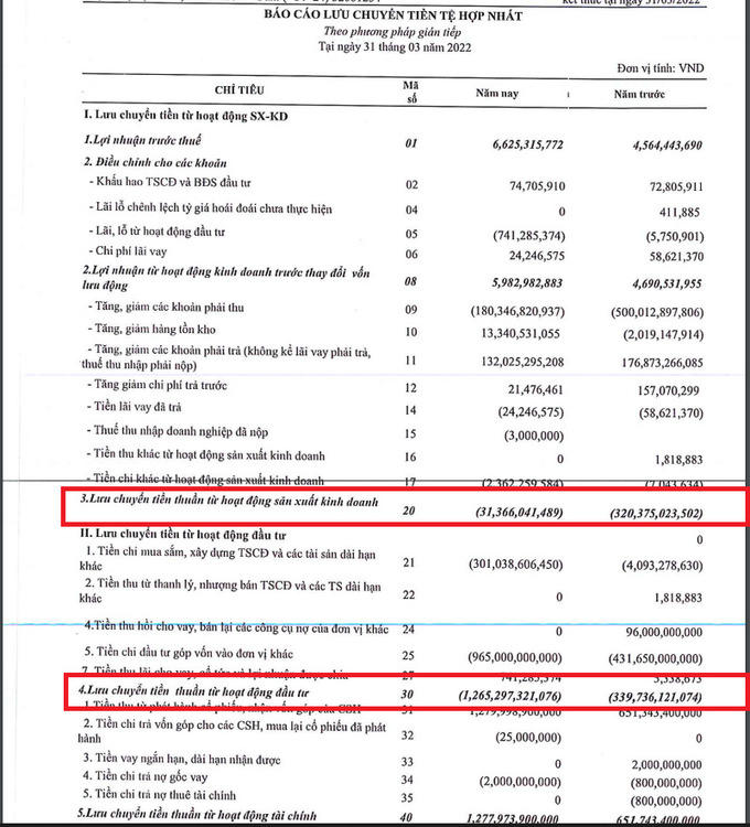 Báo cáo lưu chuyển tiền tệ hợp nhất quý I/2022 (Nguồn: BCTC EverLand)