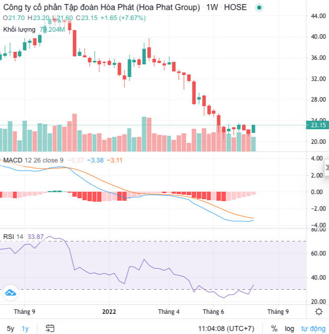 Đổ 1.100 tỷ đồng vào cổ phiếu HPG, Trí Việt (TVC) đã tạm lỗ gần 300 tỷ đồng