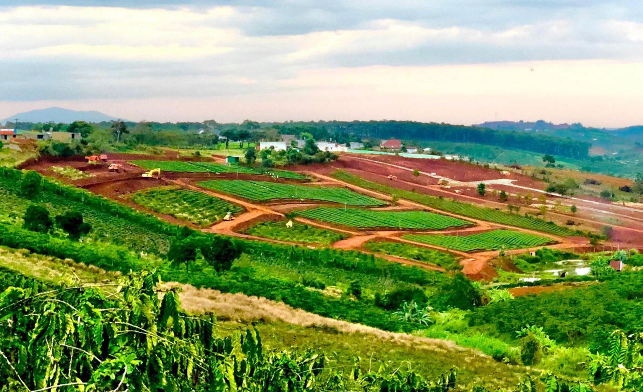 Môi giới rao bán dự án "ma" tại huyện Bảo Lâm, tỉnh Lâm Đồng với quy mô lên đến 300 nền đất &nbsp;