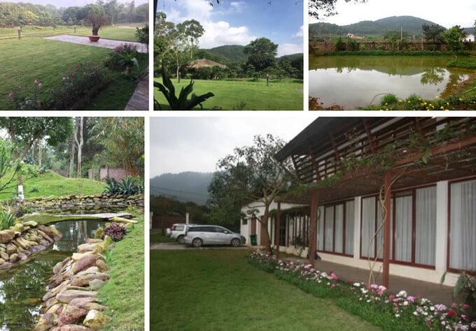 Biệt phủ của chị đại đạp gió Mỹ Linh, chốn hạ giới chẳng khác bồng lai nhưng cũng sóng gió với nhiều vi phạm