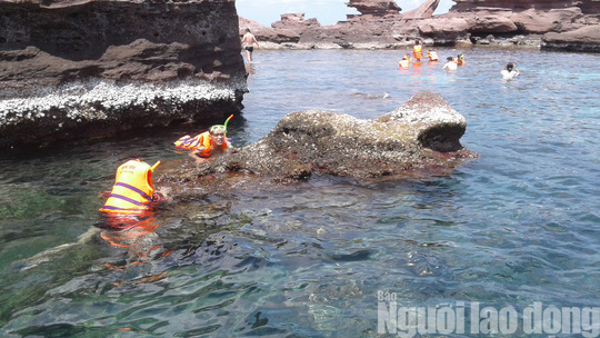 Ra Phú Quốc, ngất ngây lặn biển đâm cá, ngắm san hô ở Hòn Gầm Ghì - Ảnh 17.